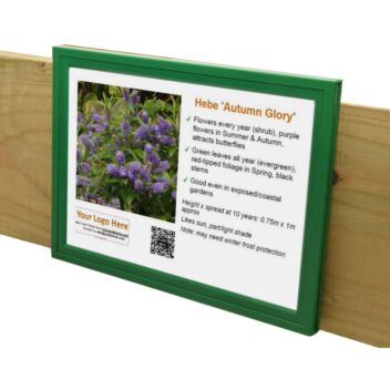 8x6 bedcard frame