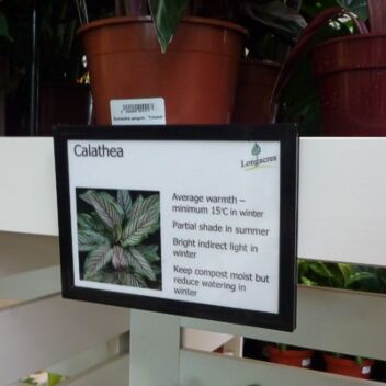 Plant information displayed using a vertical ticket holder for bed cards