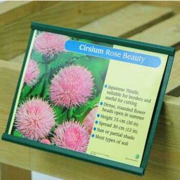 Bed card ticket holder for information cards