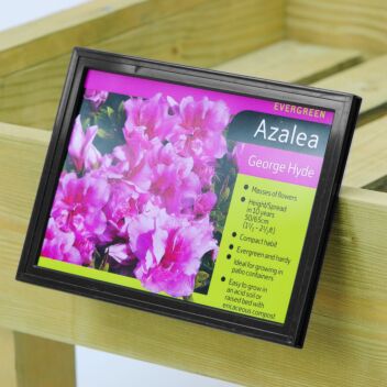 Angled bed-card holder