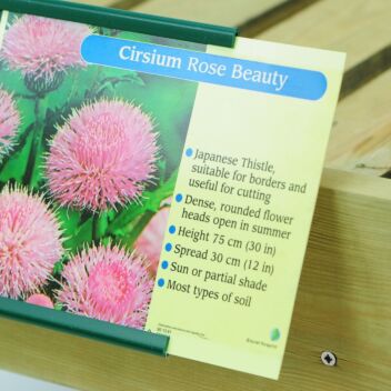 Easy slide-in slot for bed cards