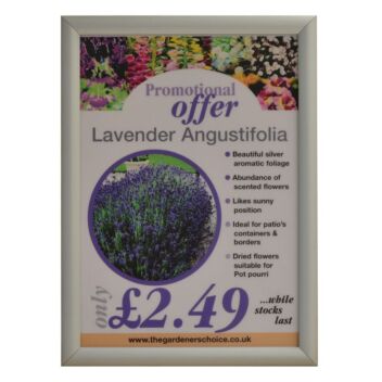 Oversized snap frame with a laminated print insert