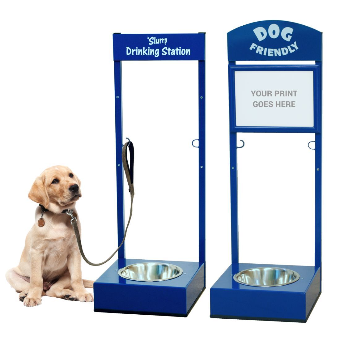 Outdoor dog drinking station with sign