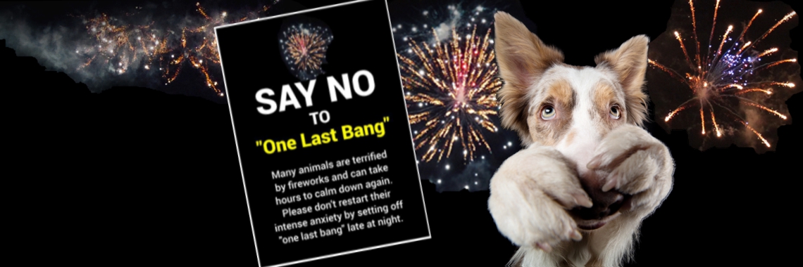 Free poster - Say no to one last bang