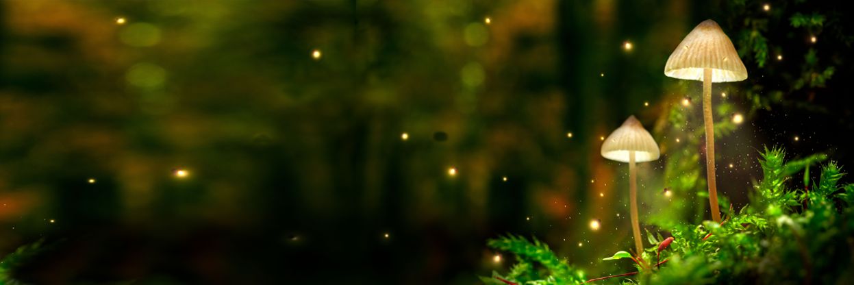 Light boxes to illuminate posters