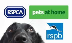 Trusted by animal lovers and stores they shop